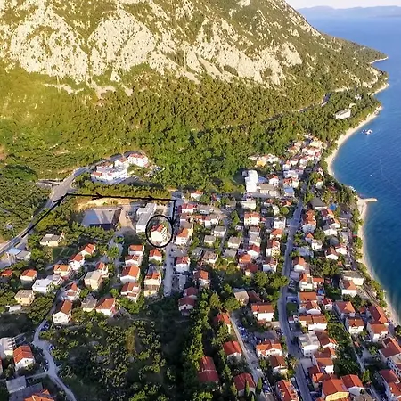 Grozdana